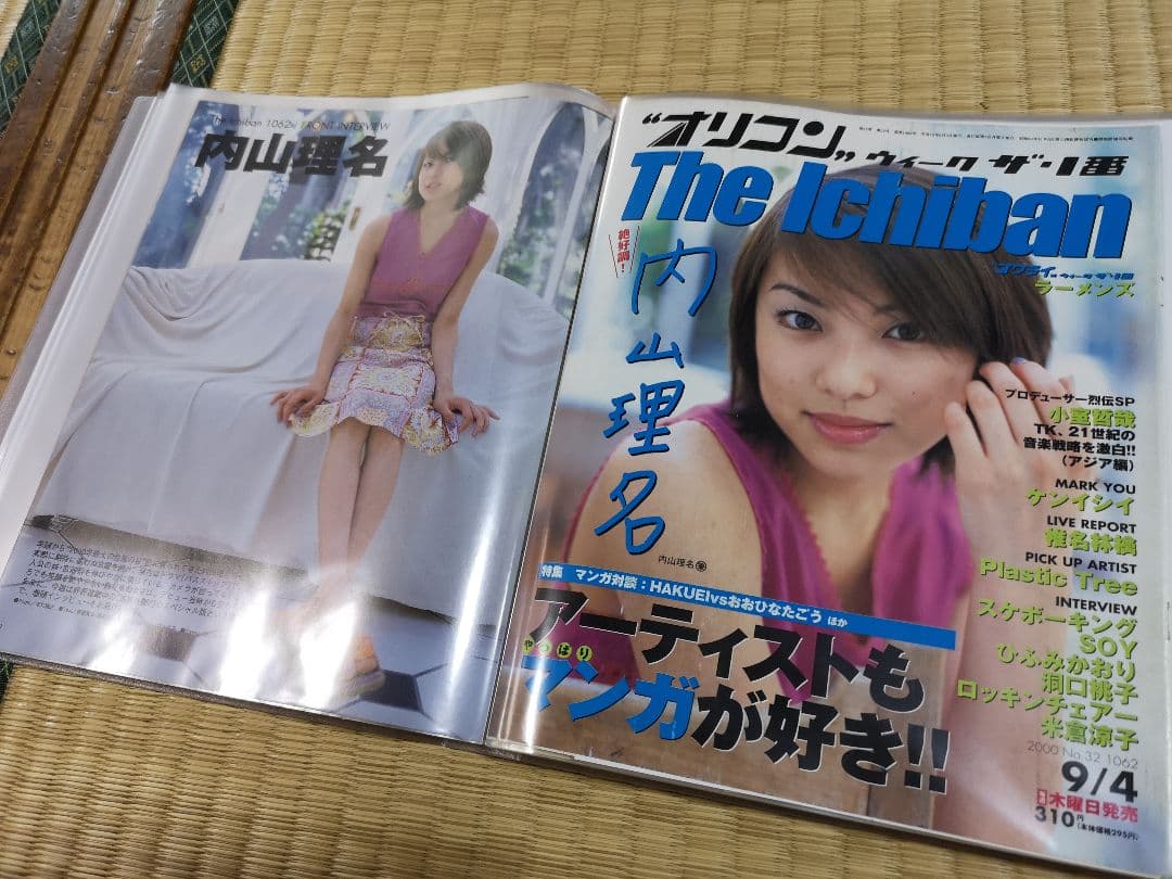 内山理名(1冊200円計算)144冊分約250ページ　切り抜きしファイリング済み