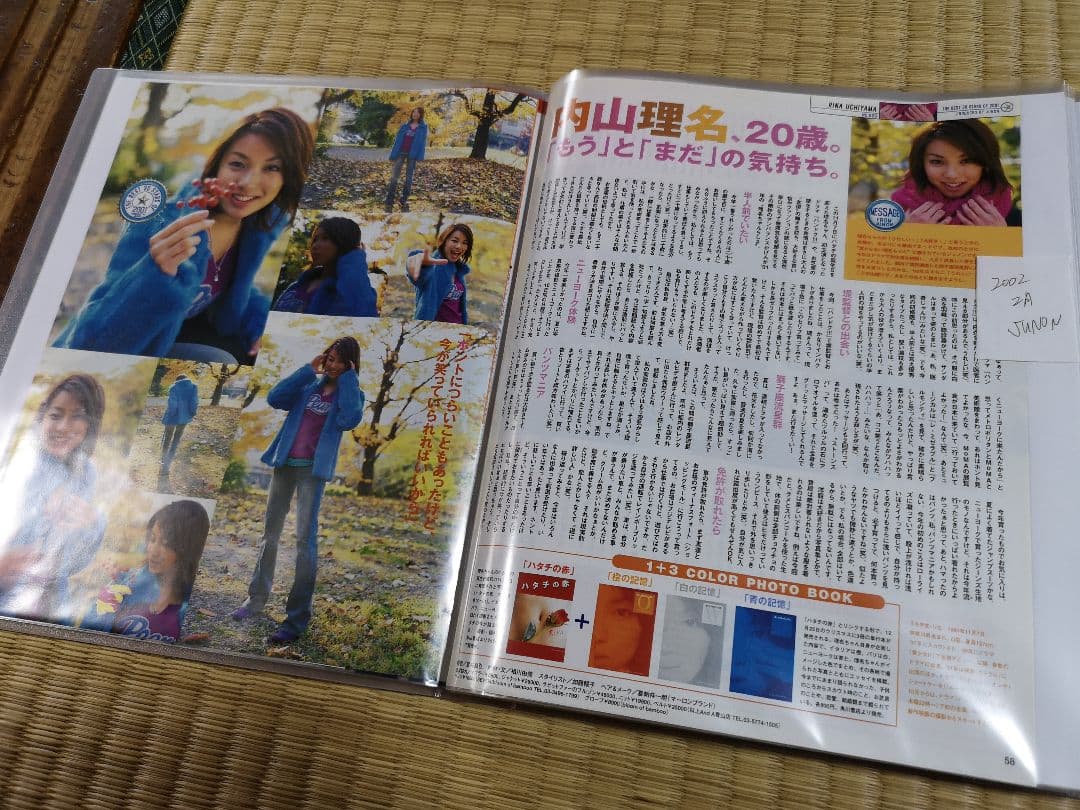 内山理名(1冊200円計算)144冊分約250ページ　切り抜きしファイリング済み