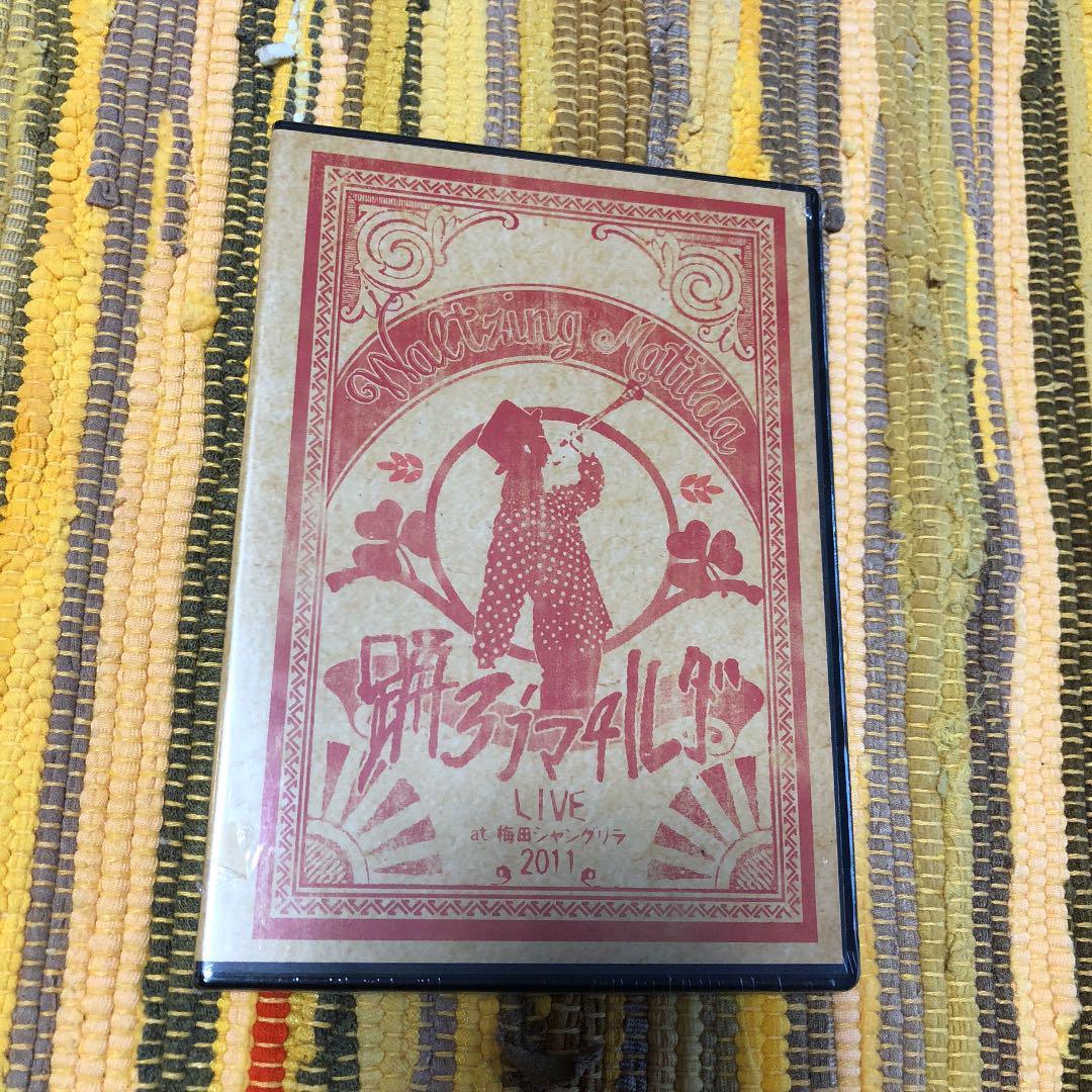 踊ろうマチルダDVD 新品　チャランポランタン小春