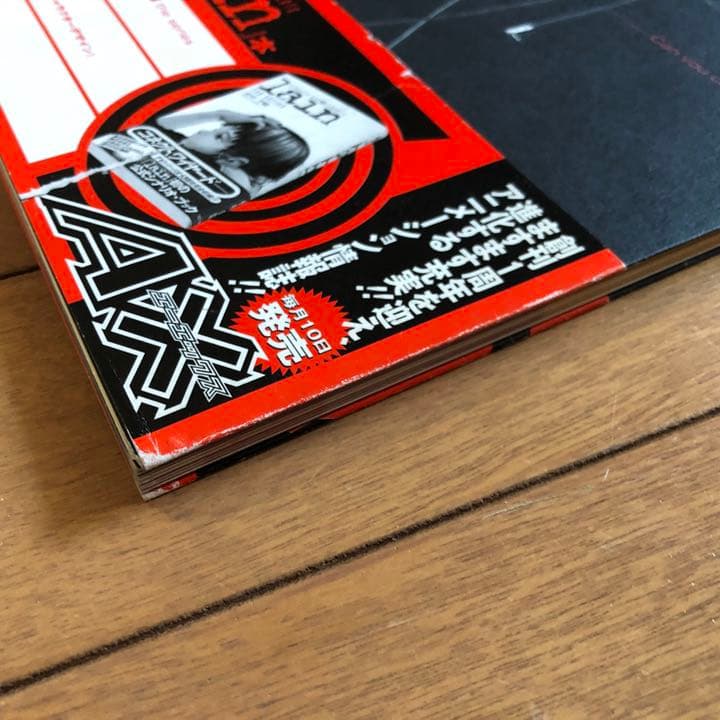 serial experiments lain TVアニメ レイン 希少本