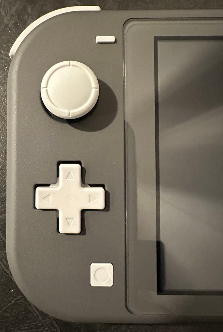 Nintendo Switch Lite グレー 本体 ＆ カバー セット