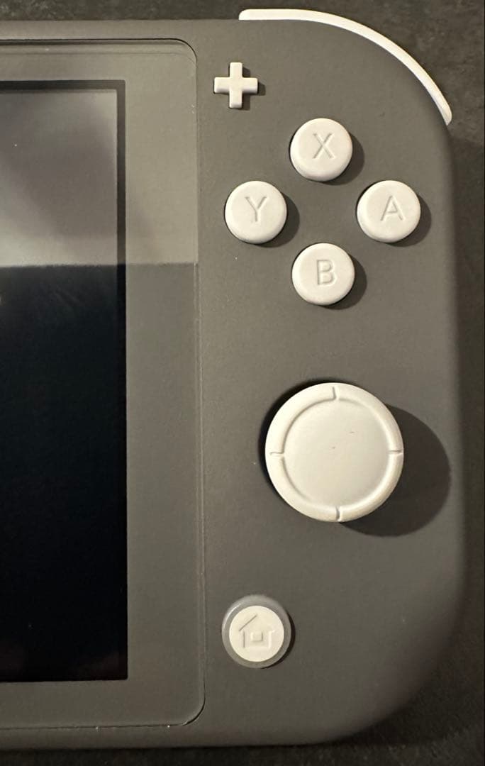 Nintendo Switch Lite グレー 本体 ＆ カバー セット