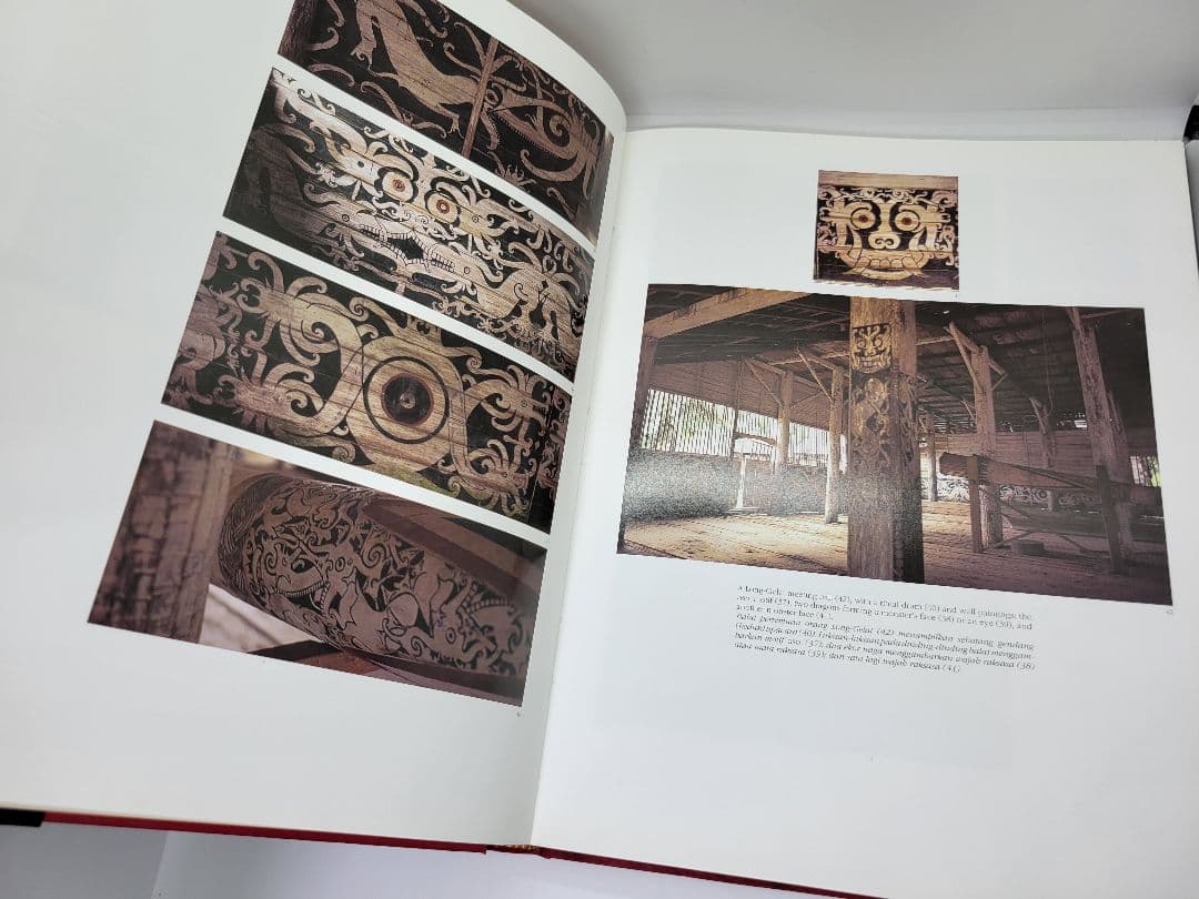 洋書 Hornbill and Dragon