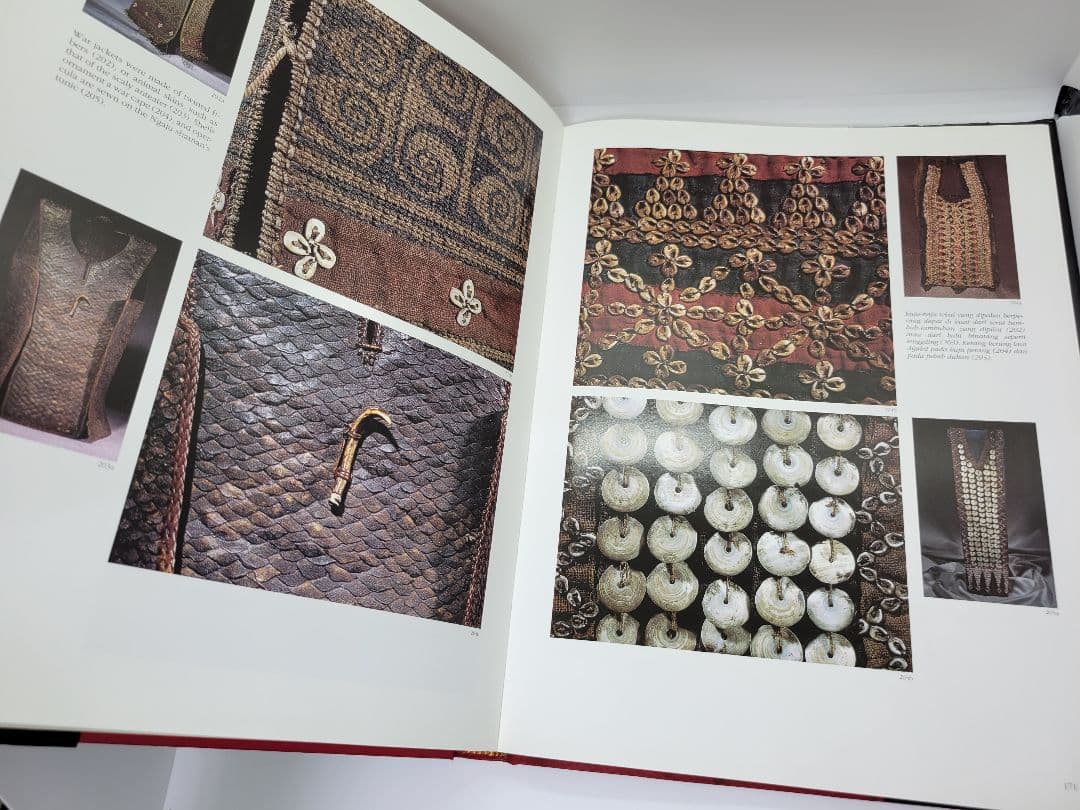 洋書 Hornbill and Dragon