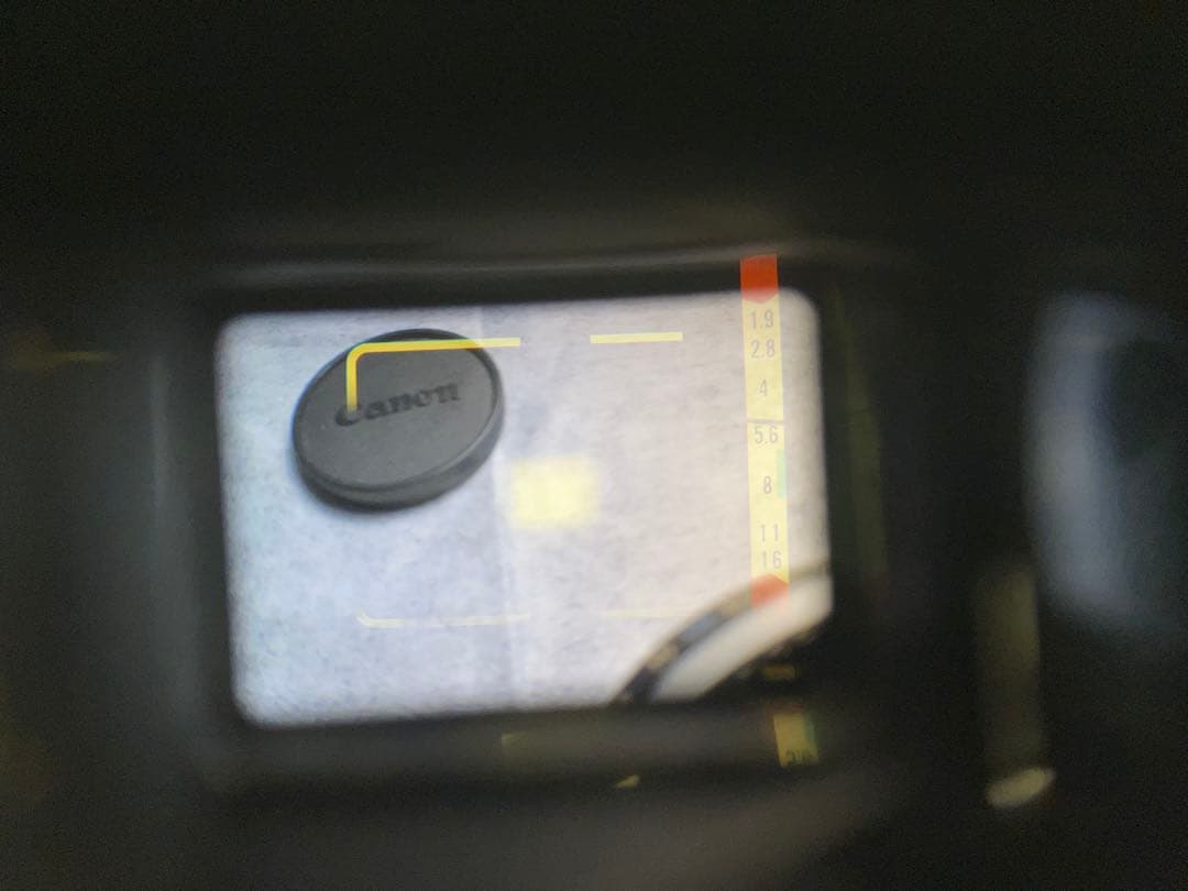 分解整備済Canon QL19 GIII フィルムカメラ 作動完璧確認 実用良品