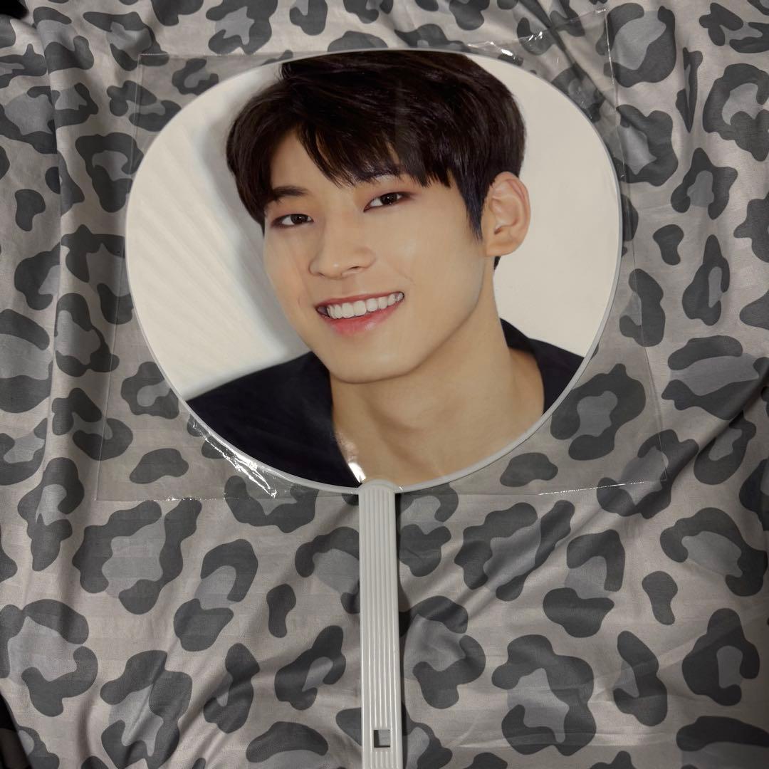 SEVENTEEN セブチ ウォヌ 団扇 うちわ 18本まとめ売り