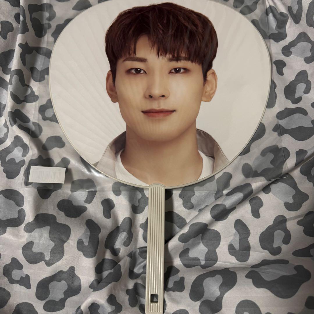 SEVENTEEN セブチ ウォヌ 団扇 うちわ 18本まとめ売り