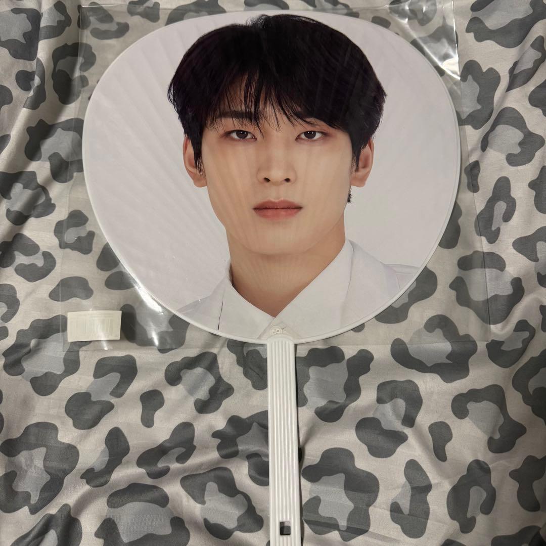 SEVENTEEN セブチ ウォヌ 団扇 うちわ 18本まとめ売り