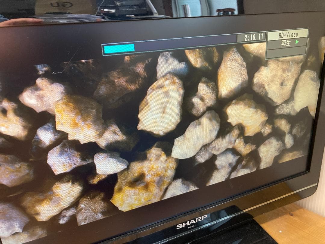 Panasonic パナソニック ブルーレイ レコーダー DMR-BR130