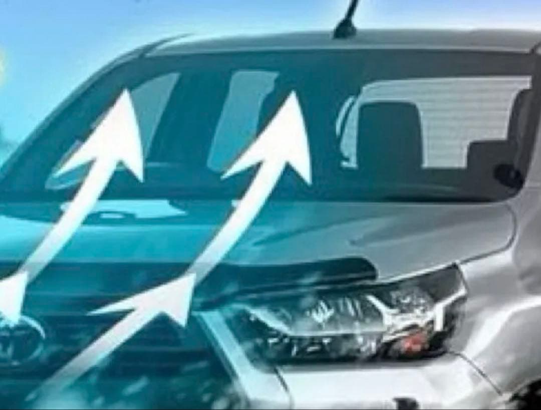 EGR (イージーアール) バグガード ハイラックス GUN125 後期