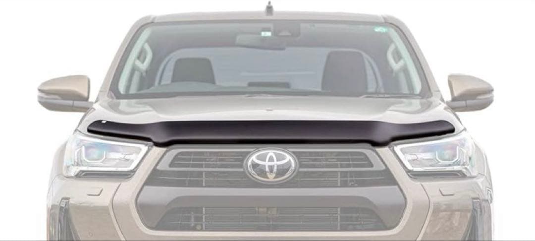 EGR (イージーアール) バグガード ハイラックス GUN125 後期