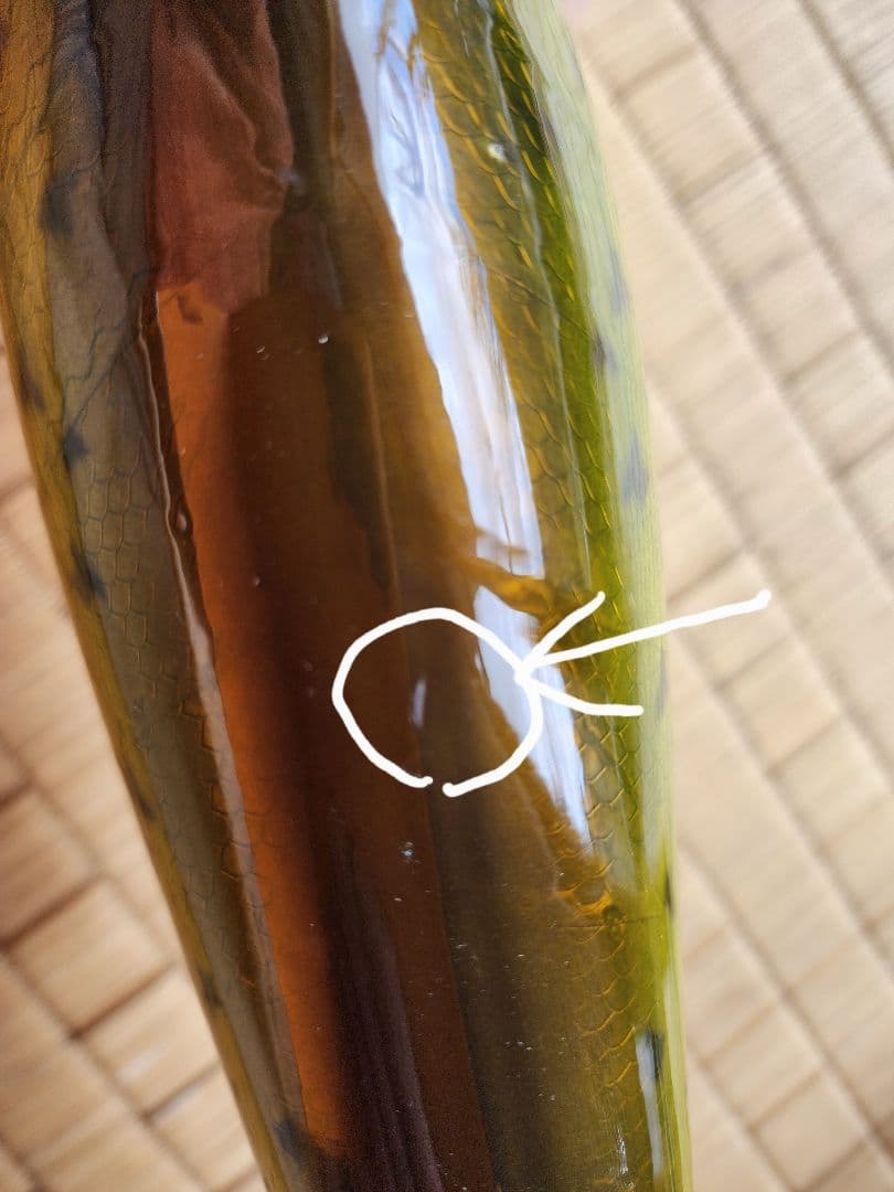 トップウォータープラグ 黒鱒ドデカバス ブラックバス置物、ブラックバスオブジェ