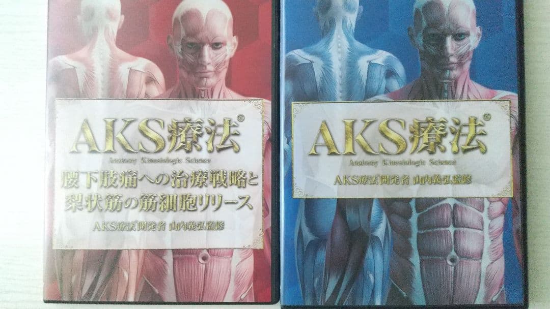 山内義弘 AKS療法 本編DVD４枚 特典DVD２枚 テキスト付