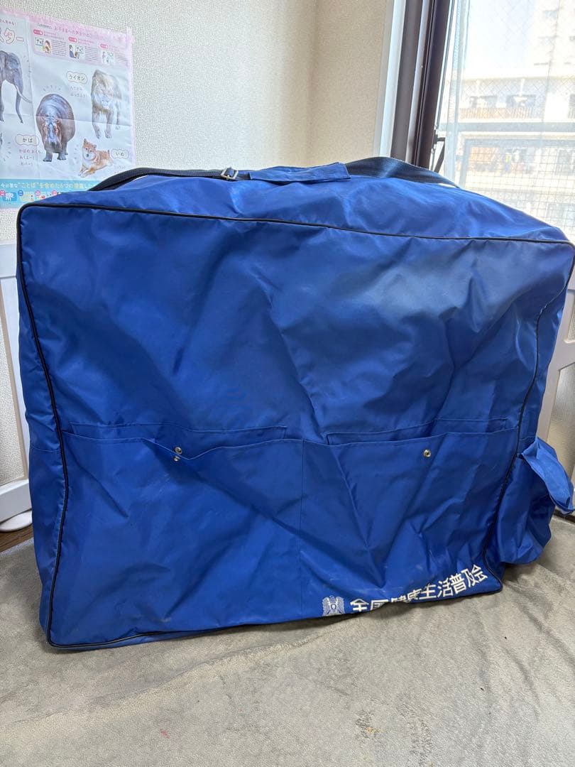 ヘルスウェーブゴールド ジュニア　& 専用キャリーバック