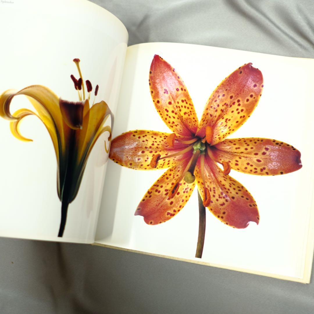 Irving Penn FLOWERS アーヴィング•ペン　写真集　洋書　初版