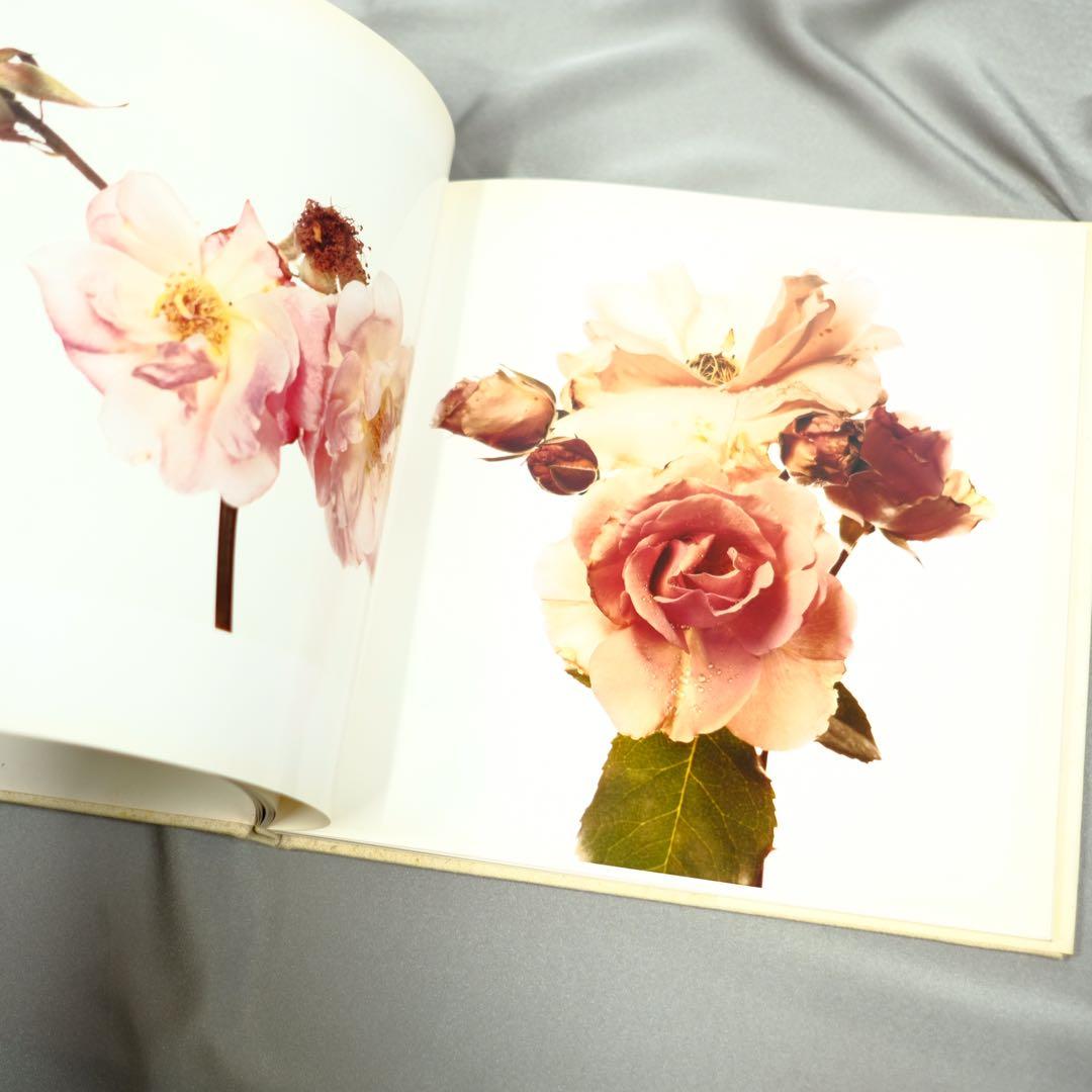 Irving Penn FLOWERS アーヴィング•ペン　写真集　洋書　初版