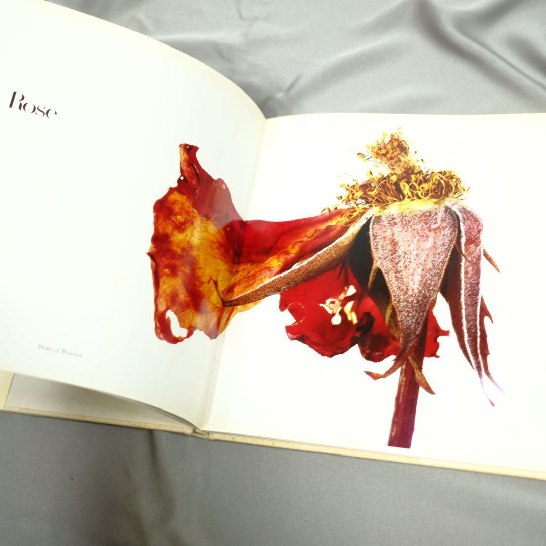 Irving Penn FLOWERS アーヴィング•ペン　写真集　洋書　初版