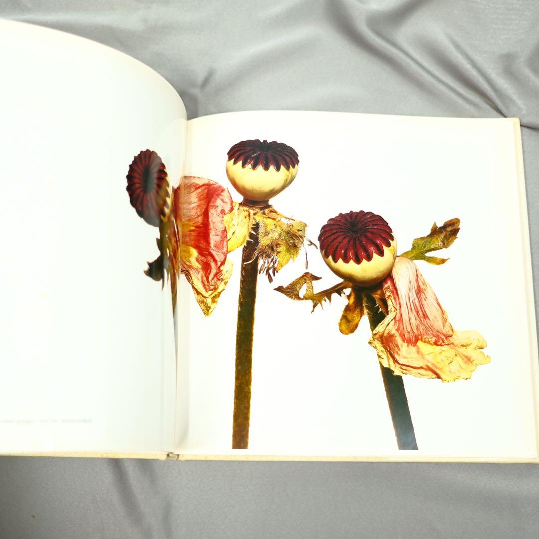 Irving Penn FLOWERS アーヴィング•ペン　写真集　洋書　初版