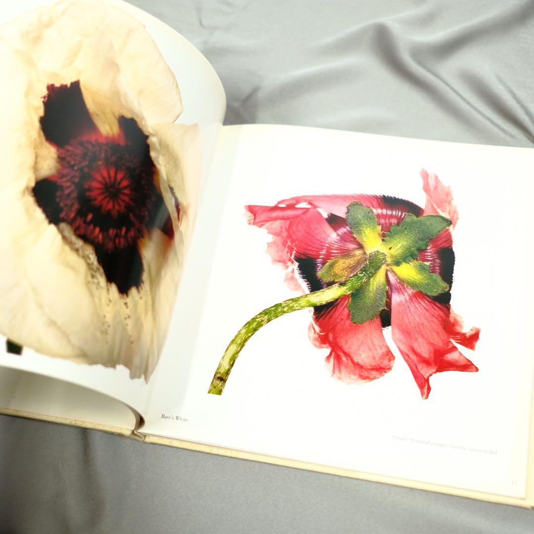 Irving Penn FLOWERS アーヴィング•ペン　写真集　洋書　初版