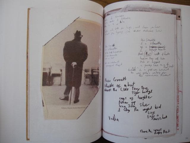 アート・デザイン・音楽 The Collected Writings of Peter Doherty