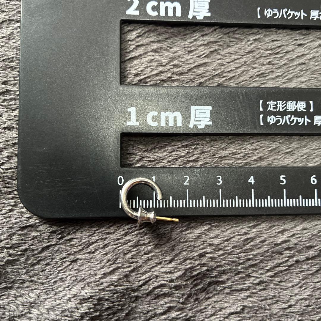 キャリアリング　placebo ピアス　101 0710