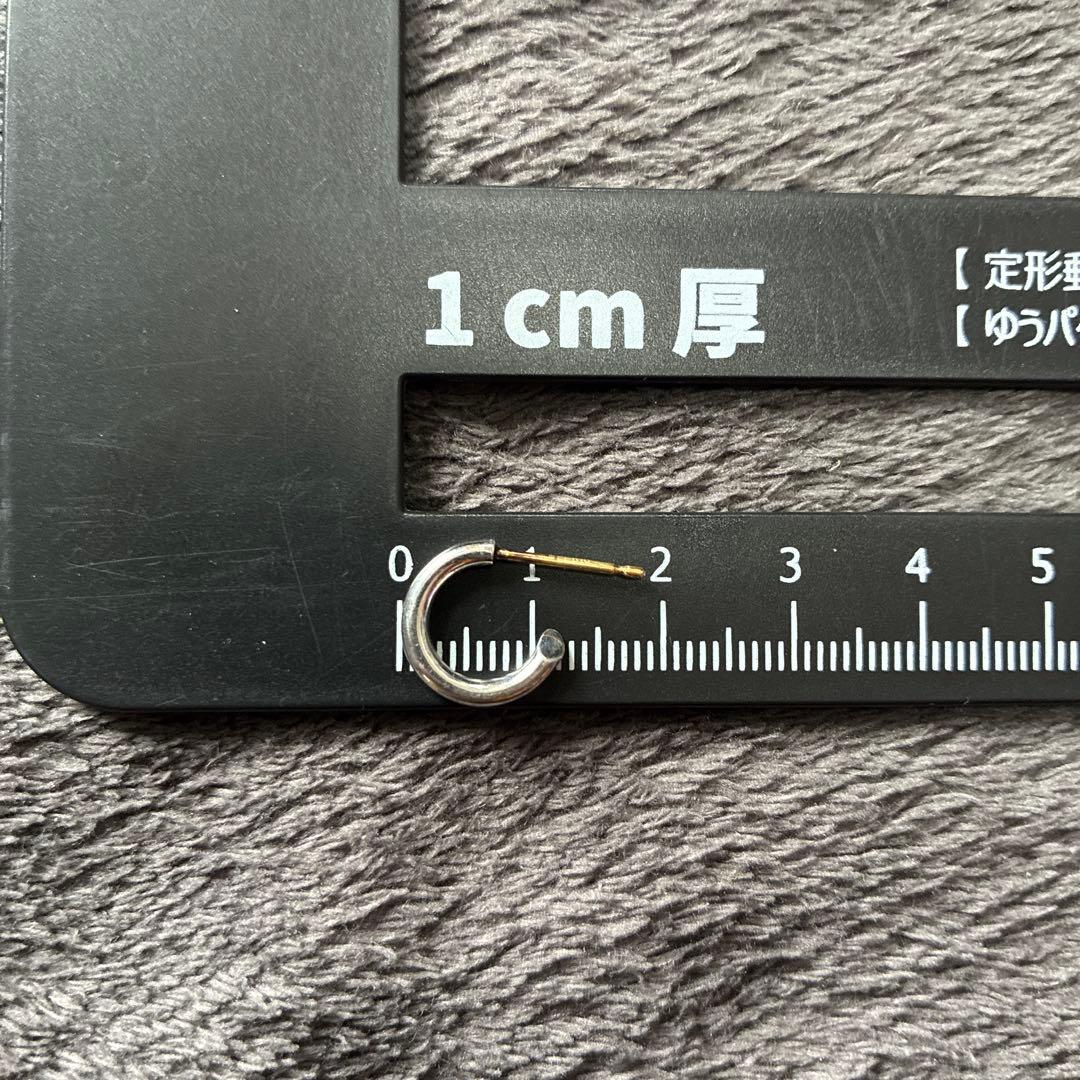 キャリアリング　placebo ピアス　101 0710