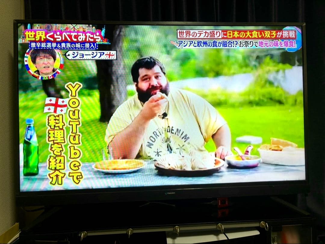 サルゲッチュ maxzen ハイビジョン液晶テレビ