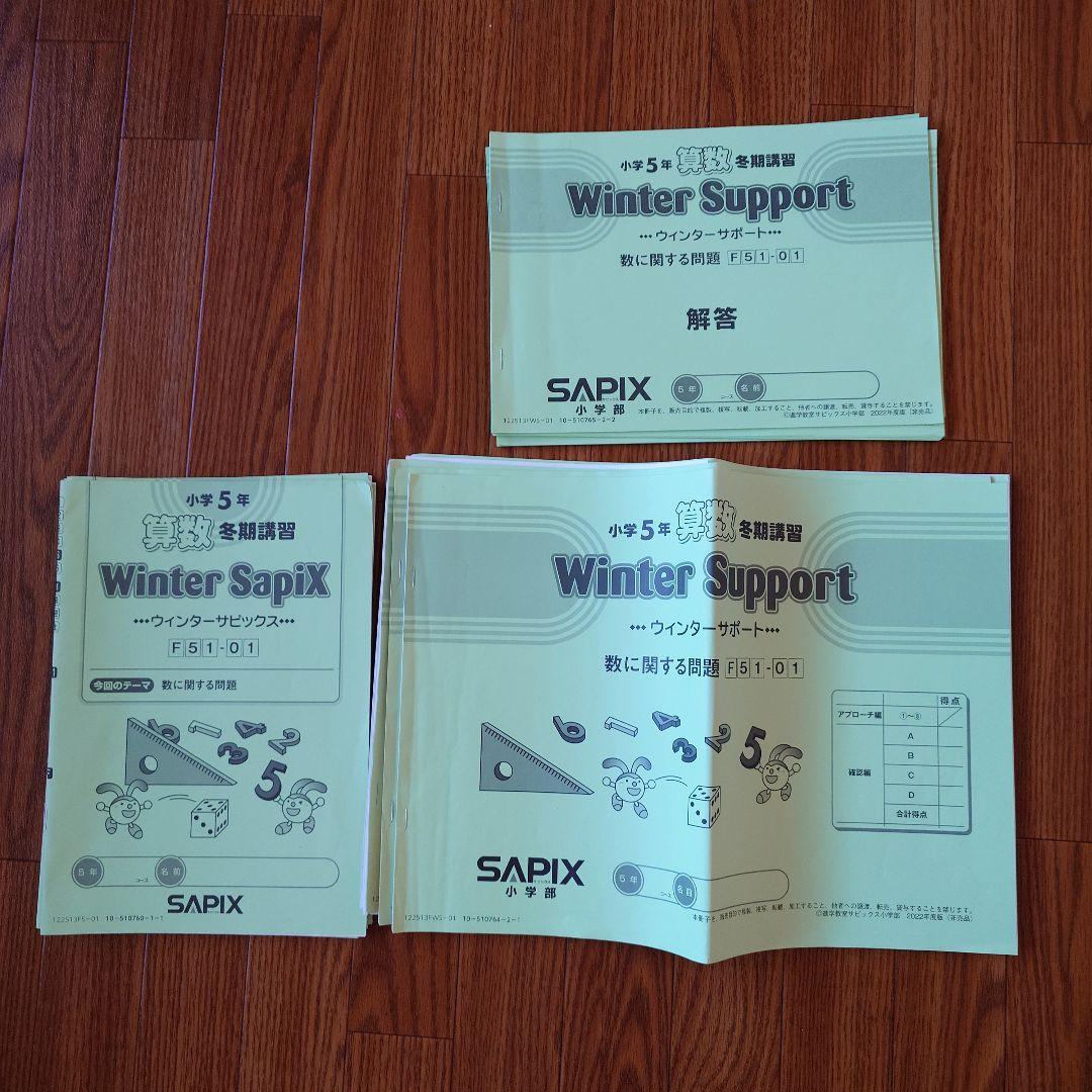 サピックス 小5 算数　ずっしり1年分！ デイリー 定着テスト　SAPIX