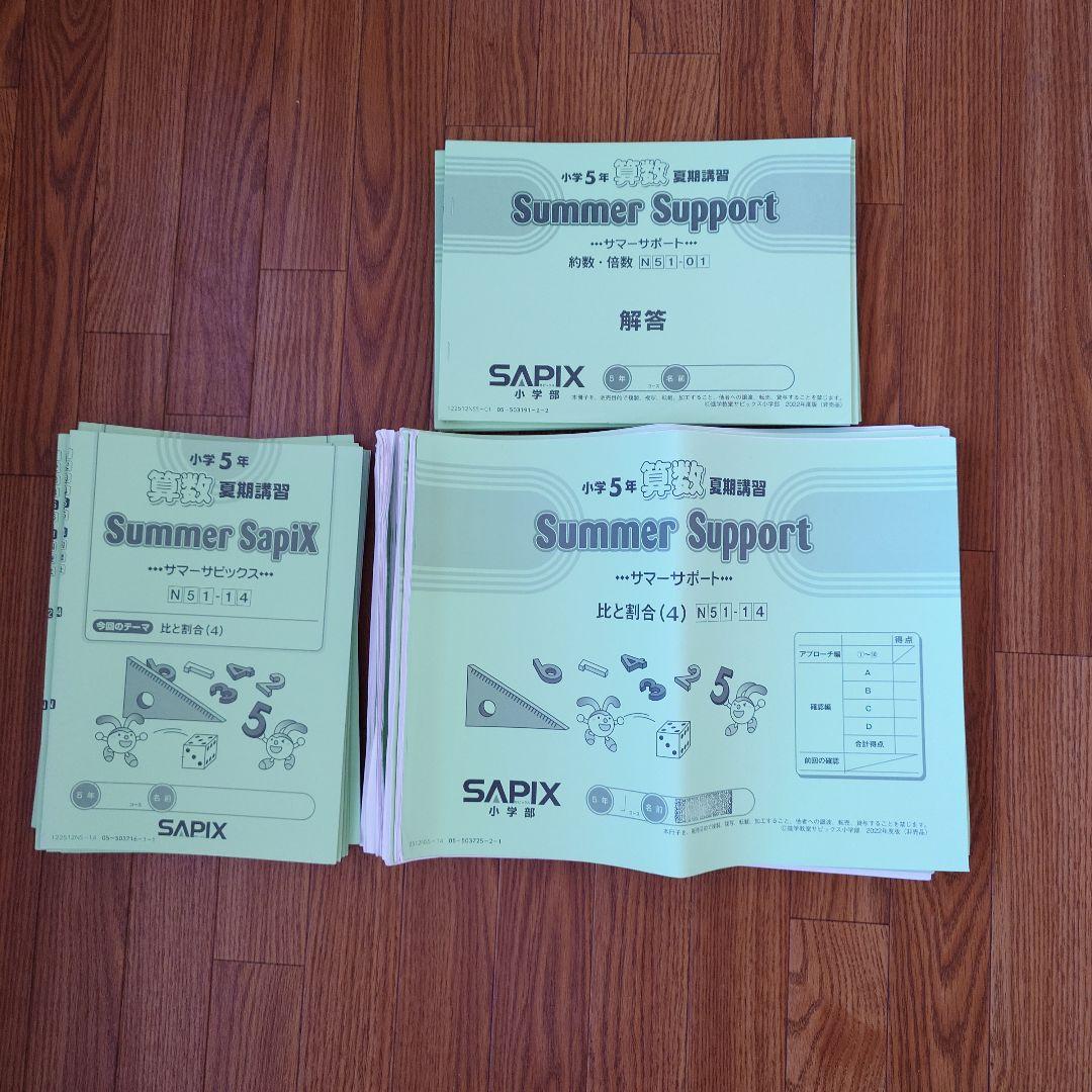 サピックス 小5 算数　ずっしり1年分！ デイリー 定着テスト　SAPIX