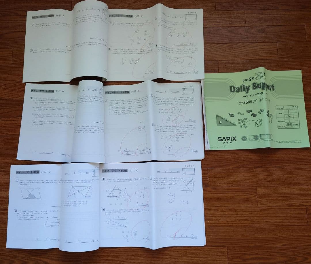 サピックス 小5 算数　ずっしり1年分！ デイリー 定着テスト　SAPIX