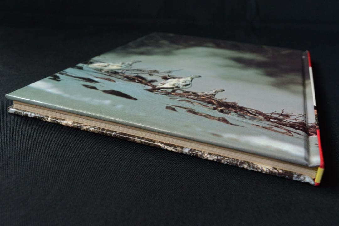 【北アルプス】田淵行男　：講談社カラー科学大図鑑　未読品・美本