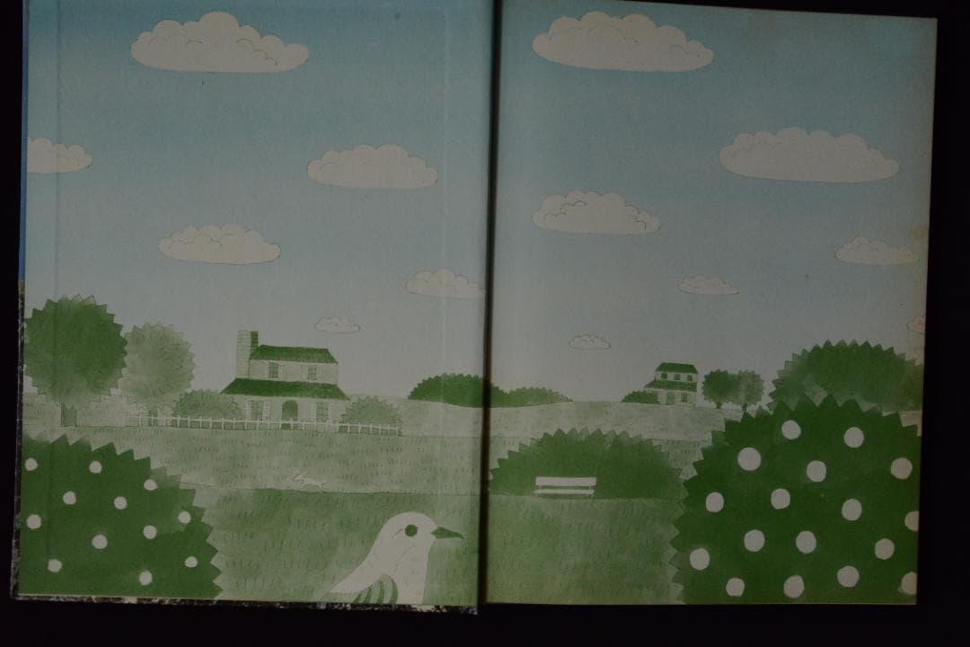 【北アルプス】田淵行男　：講談社カラー科学大図鑑　未読品・美本