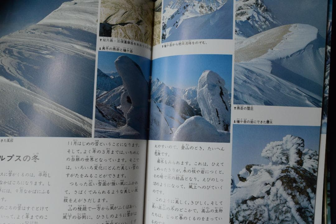 【北アルプス】田淵行男　：講談社カラー科学大図鑑　未読品・美本