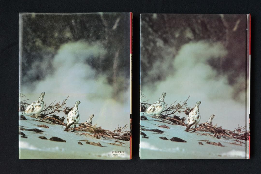 【北アルプス】田淵行男　：講談社カラー科学大図鑑　未読品・美本