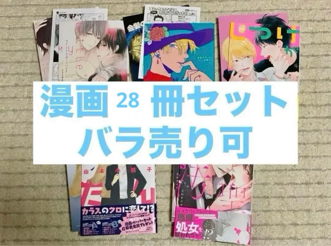 漫画 28冊