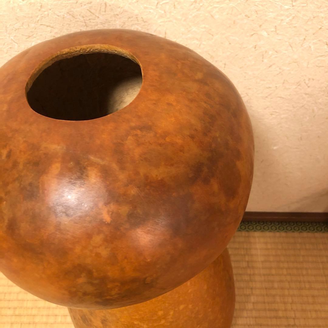 イプヘケ　大きめ61センチ　フラダンス