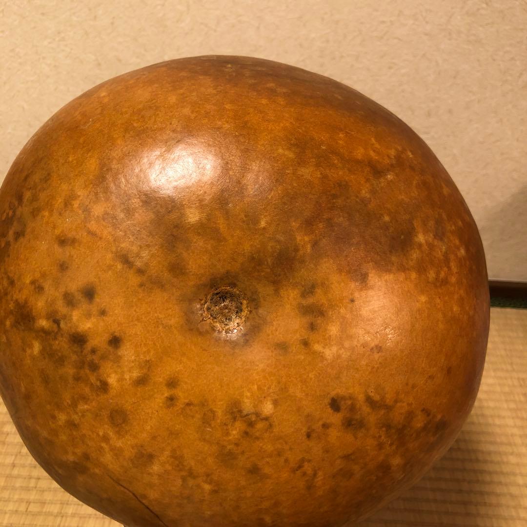 イプヘケ　大きめ61センチ　フラダンス