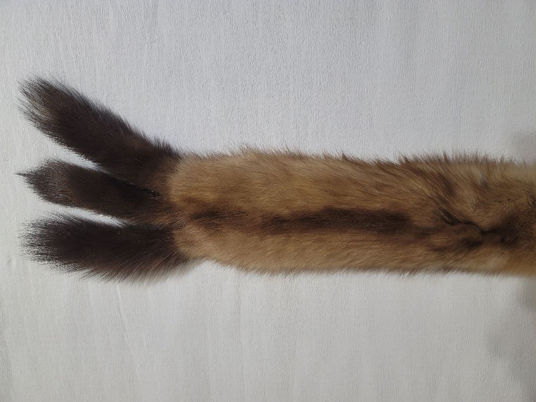 ロシアンセーブル マフラー ティペット ストール 超美品！ ゴールデンセーブル