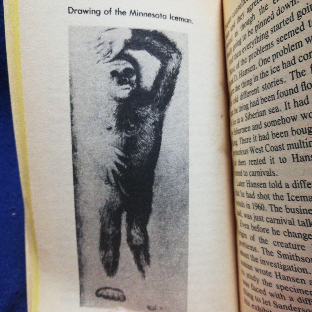 洋書 BIGFOOT: AMERICA'S #1 MONSTER by Cohen