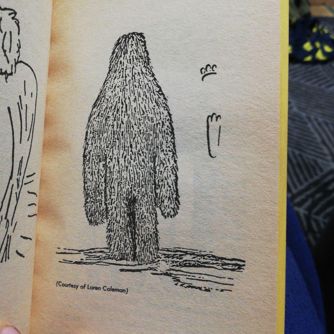 洋書 BIGFOOT: AMERICA'S #1 MONSTER by Cohen