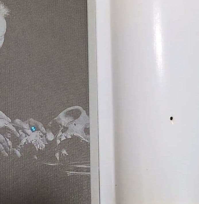 本「人類の起源」エルベール・トマ著　ビーズか宝石の粒が付く改造装丁に驚き！