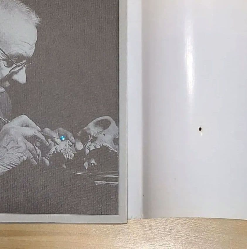 本「人類の起源」エルベール・トマ著　ビーズか宝石の粒が付く改造装丁に驚き！