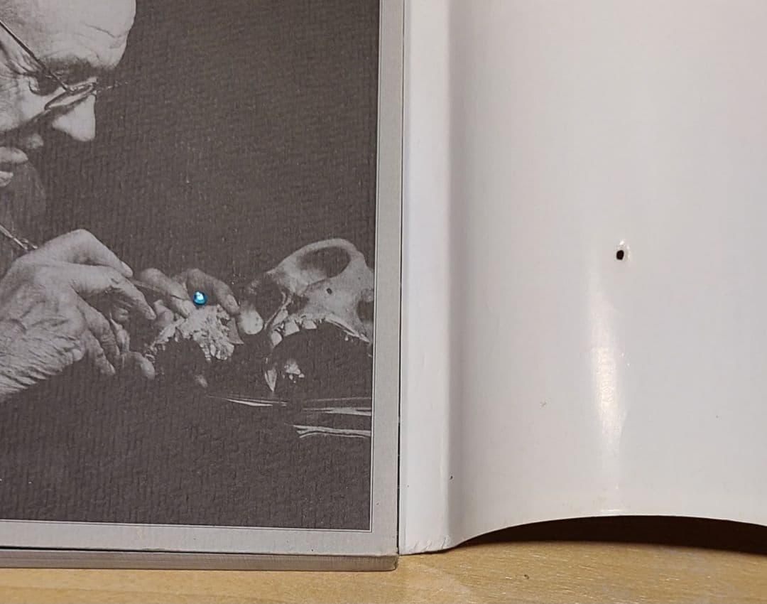 本「人類の起源」エルベール・トマ著　ビーズか宝石の粒が付く改造装丁に驚き！