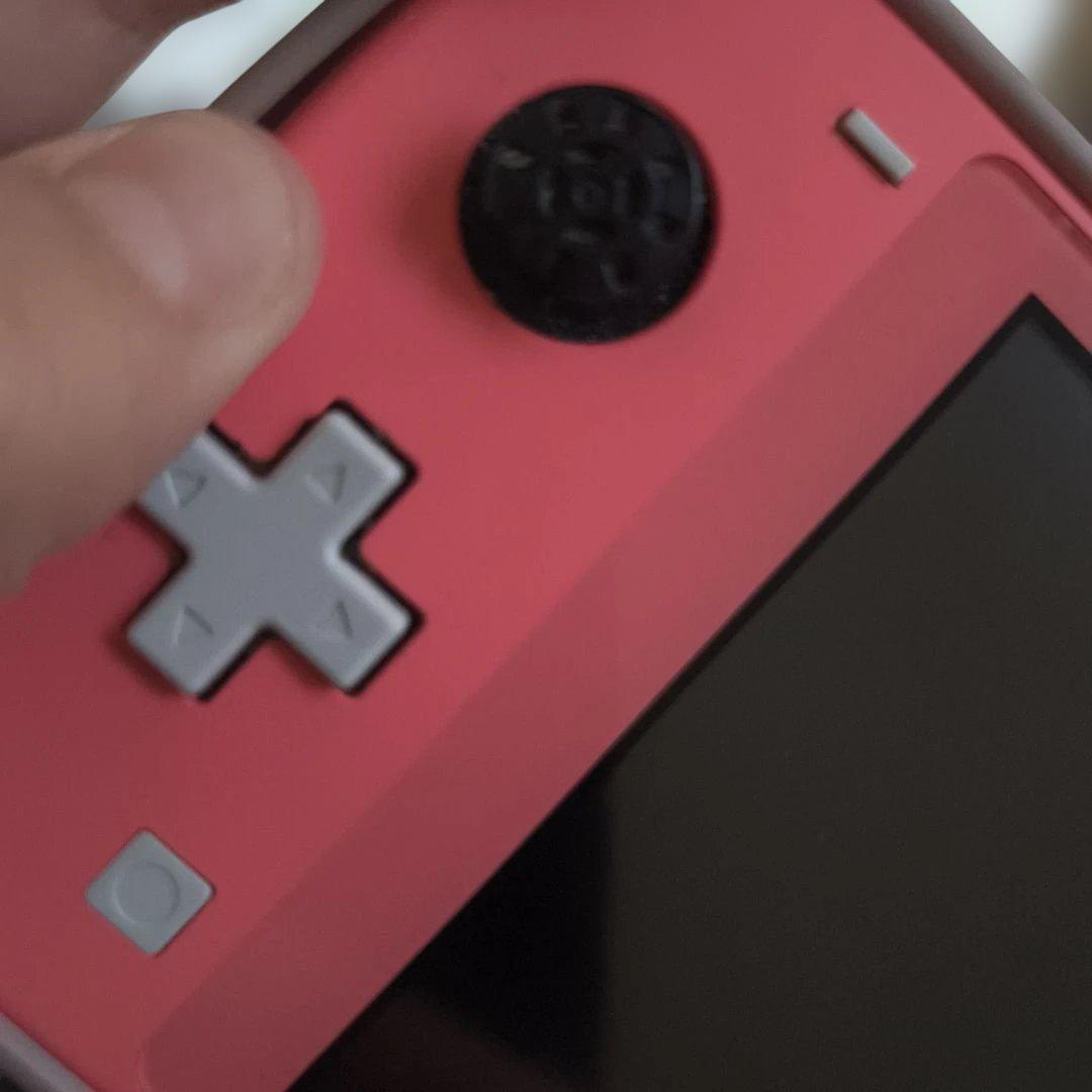 Nintendo Switch Lite 本体 のみ