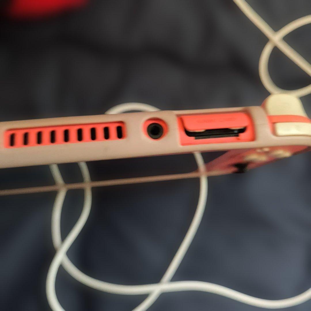 Nintendo Switch Lite 本体 のみ