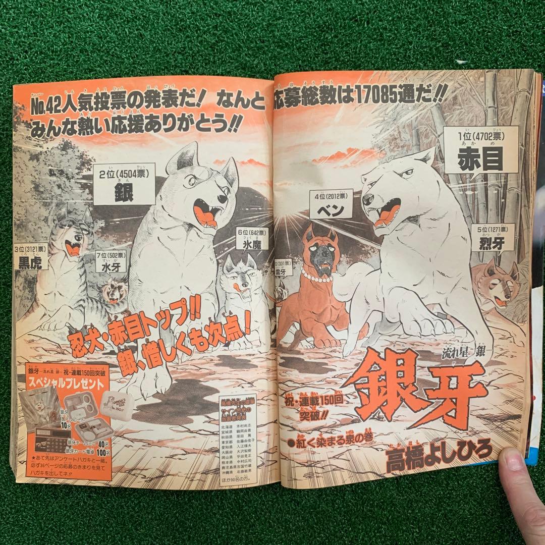 【鳥山明先生　Mr.賀（ホー）　S・V・L読切】週刊少年ジャンプ49 1986年