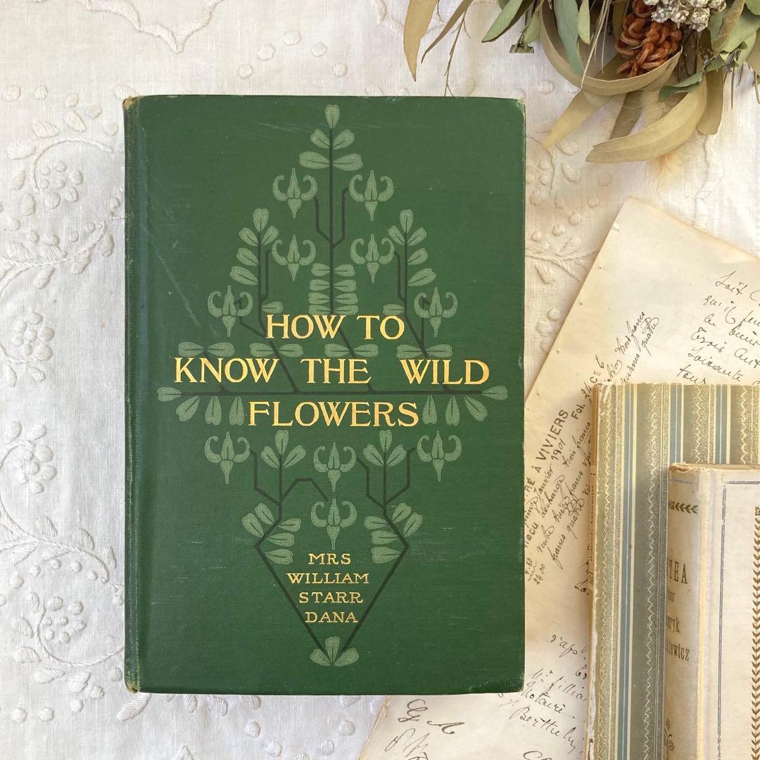 ★SALE★L809 洋書古書 1906年発行雰囲気たっぷりアンティーク植物図鑑