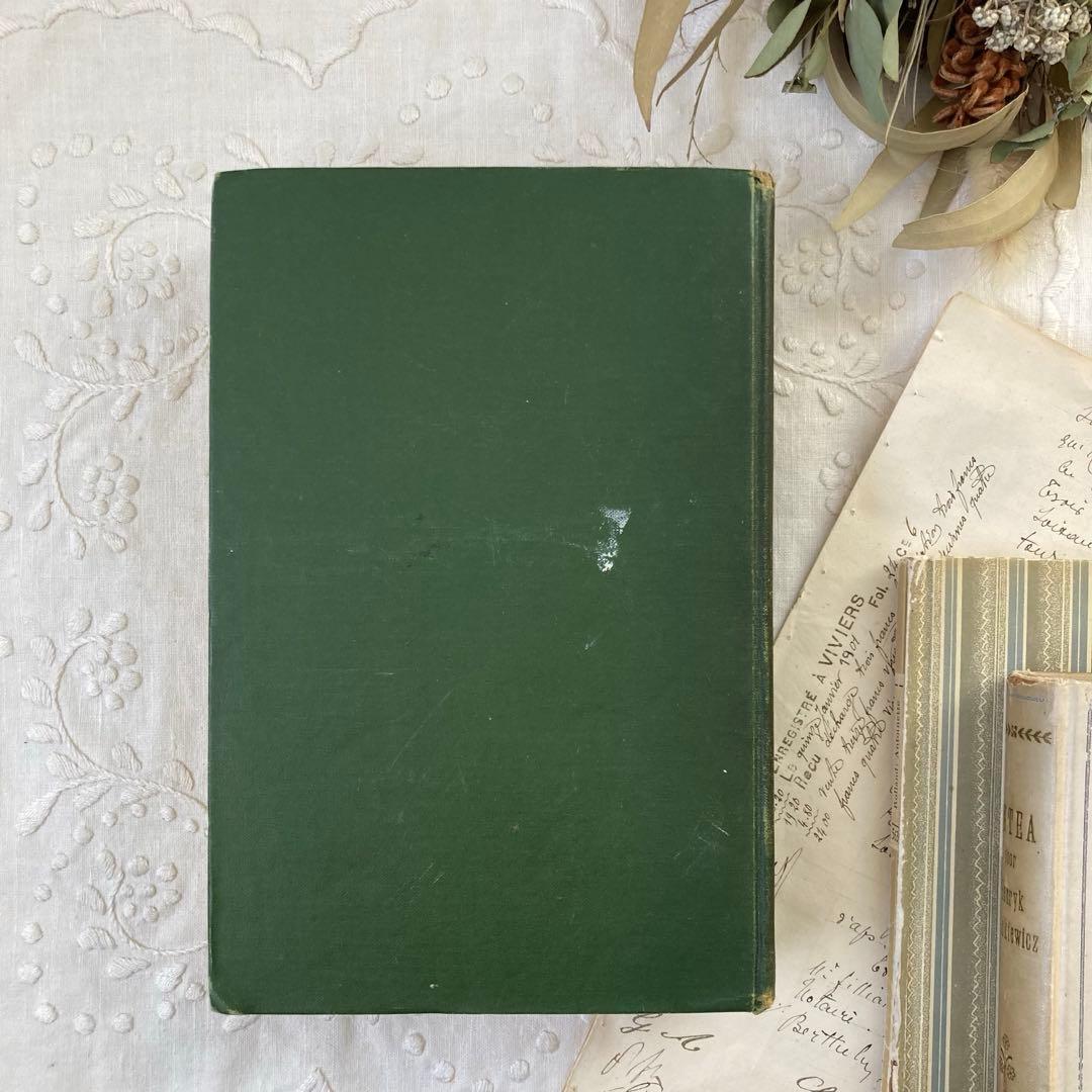 ★SALE★L809 洋書古書 1906年発行雰囲気たっぷりアンティーク植物図鑑