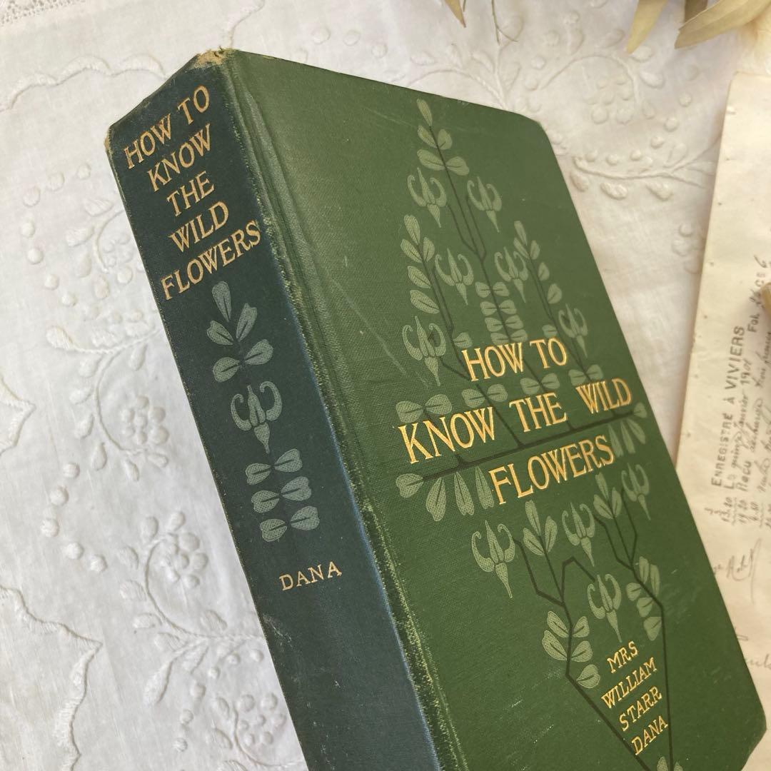 ★SALE★L809 洋書古書 1906年発行雰囲気たっぷりアンティーク植物図鑑