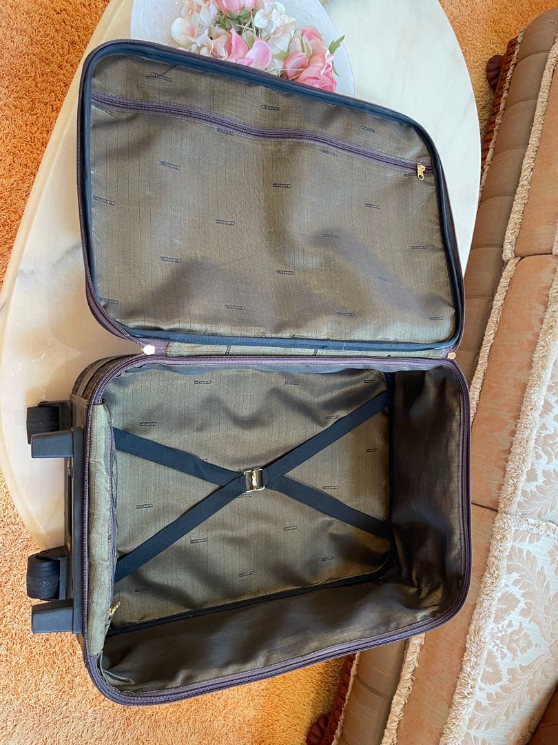 希少❣️FENDIフェンディズッカ柄‼️2輪キャリーケース❣️極美品‼️スタイリッシュ